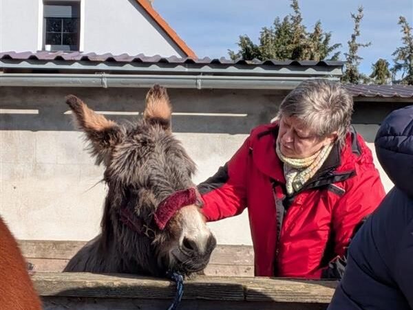 Pferdeseminar Annett Kirsch - Frau mit Esel